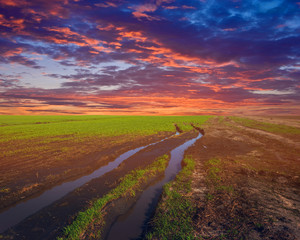 green rural field with pond and dirt at the sunset, spring countryside scene
