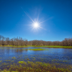 early spring flooded field under a sparkle sun