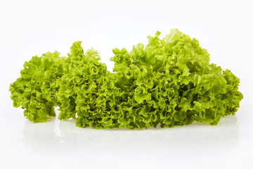 Fototapeta premium Bunch of fresh green lettuce (Lactuca sativa L.) isolated on white background. Studio shot