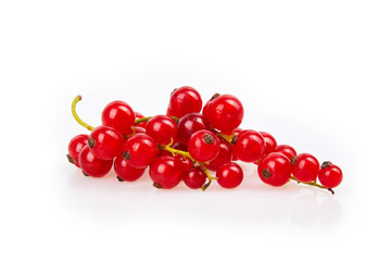 Branch of red currant berries isolated on a white background. Studio shot