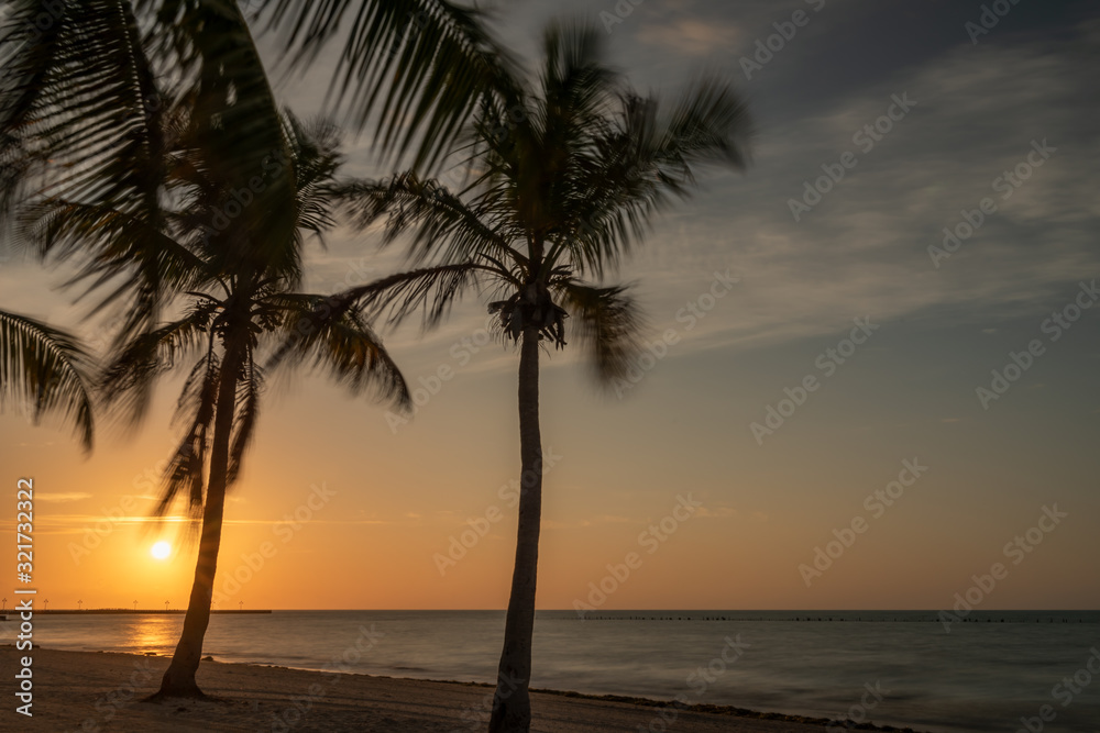 Wall mural scene sunrise on the beach with palm trees. active sport in the morning