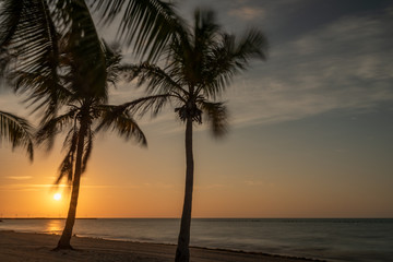 Naklejka na ściany i meble Scene sunrise on the beach with palm trees. active sport in the morning