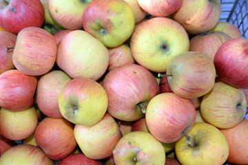Äpfel