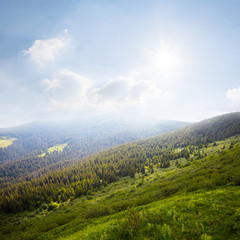 green mountain slope in a light of sparkle sun
