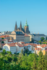 Obraz premium Top view to red roofs and green trees skyline of Prague city Czech republic.
