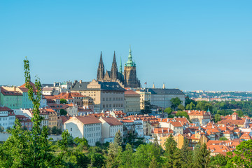 Naklejka premium Top view to red roofs and green trees skyline of Prague city Czech republic.
