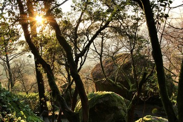 Leafy forest with colossal rock formations in Sanctuary of Penha in Guimaraes
