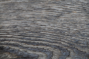 Natural wooden texture of rough wood surface
