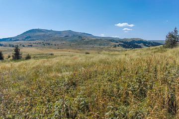 Obraz premium Autumn landscape of Vitosha Mountain, Bulgaria