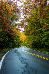 Obraz premium Autumn Road in Vermont
