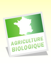 Agriculture BIologique