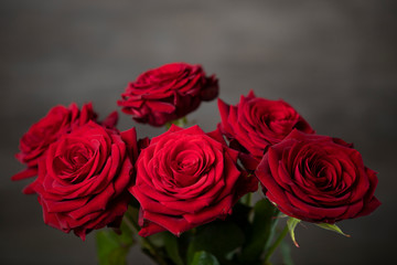 Red roses bunch on the moody background