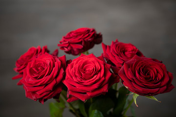 Red roses bunch on the moody background