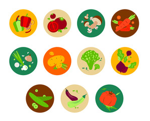 Vegetarian vegetables icons set circles