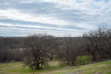 Obraz na płótnie Canvas View of a Texas city park on a cloudy February day.