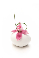 One pink Orchid flower in a round white vase on a white table