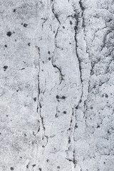 Mossy gray stone surface