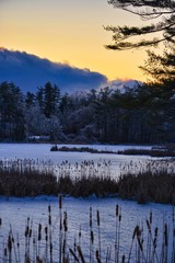 winter landscape with pond and trees