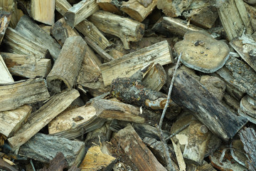 Dry chopped firewood in a pile.