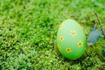 Beautiful Easter green color egg on garden green grass