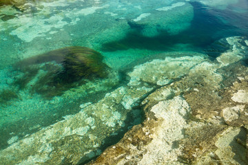 Fototapeta na wymiar Plants and rocks in turquoise colored lagoon surrounded by tropical plants in Bacalar, Quintana Roo, Mexico