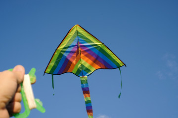 A man launches a kite in a summer park.