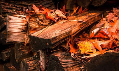 Chopped Logs stacked with Autumn Leaves