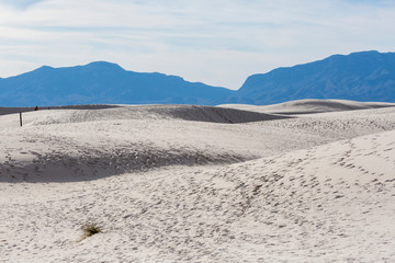 Landscape view of White Sands National Park in New Mexico during the day.