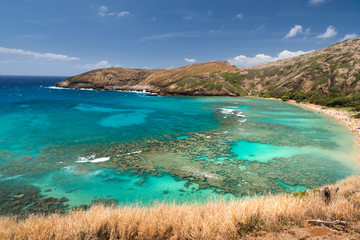 Obraz premium Hanauma Bay, Oahu Hawaii