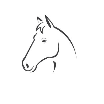 Vector head of horse black. Mammals. logo. icon. symbol. design. on white background