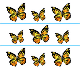 Fototapeta na wymiar Vector butterfly image on a white background
