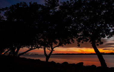 Sunset over the bay with trees at sunset.