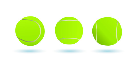 Tennis ball vector image on a white background