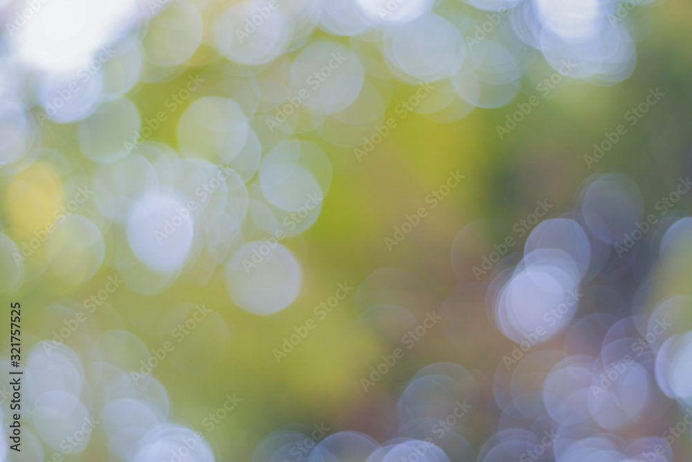 Aufkleber bokeh background of tree