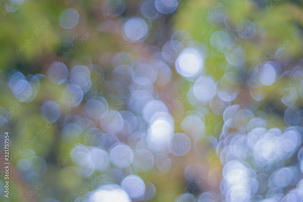 Aufkleber bokeh background of tree