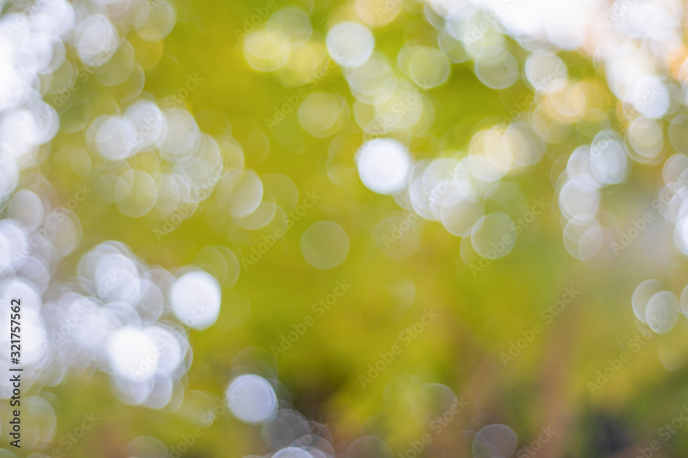 Aufkleber bokeh background of tree