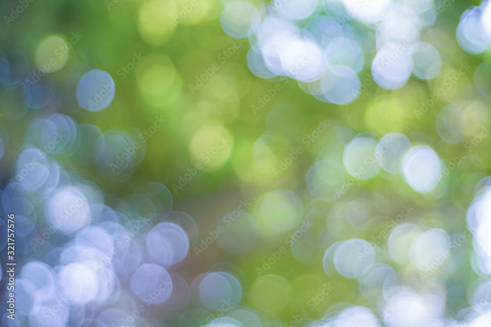 Poster bokeh background of tree