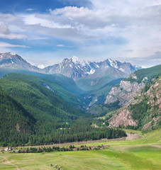 Summer landscape, scenic mountains. Summer greens with snow-capped mountains. Travel in the mountains of Altai.