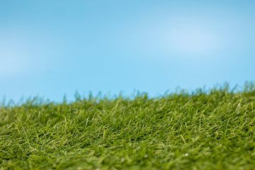 Green grass with blue sky background