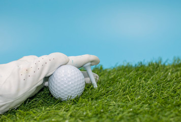 Golfer is pinning tee on green grass