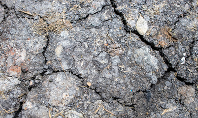Soil or ground with several cracks due to drought or dryness caused by heat or global warming or climate change effecting the agriculture and farm