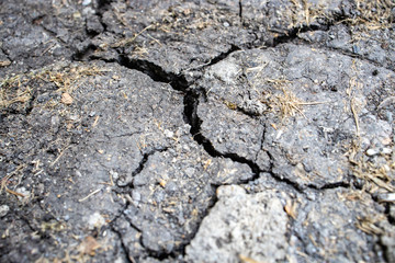 Soil or ground with several cracks due to drought or dryness caused by heat or global warming or climate change effecting the agriculture and farm