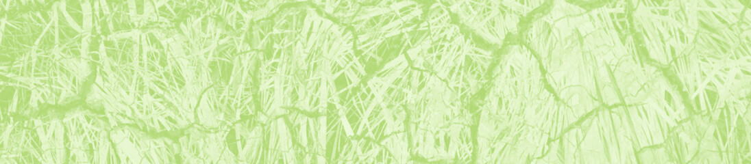Fototapeta na wymiar abstract light green background with copy space for design