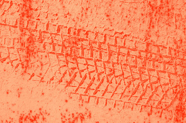 abstract live coral color background for design