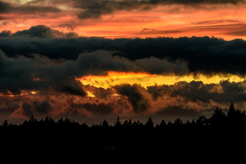 sunset on dark pine forest