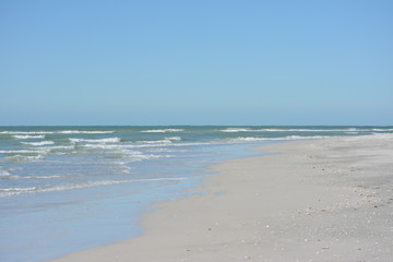 Fototapeta na wymiar Tropical gulf coast Florida Beach
