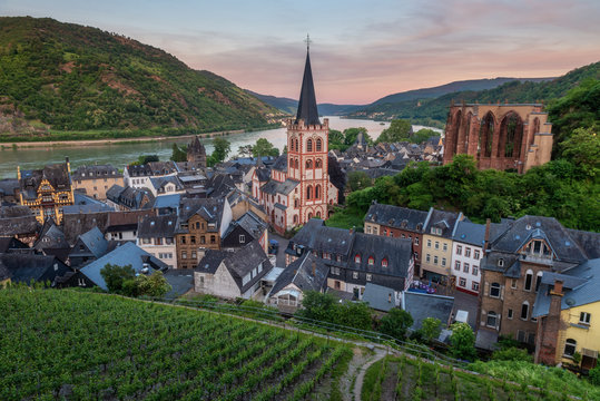 High angle view of Parish Church of St. Peter surrounded by local dwellings with grape plantation foreground at Bacharach, Germany during sunset