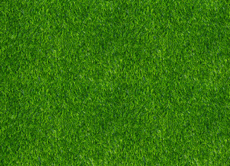 green grass texture background