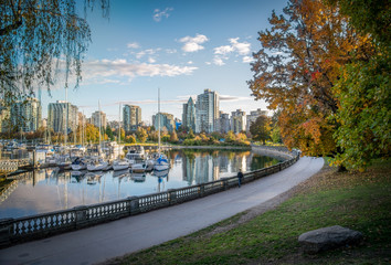 Fototapeta premium Vancover cityscape from Stanley Park