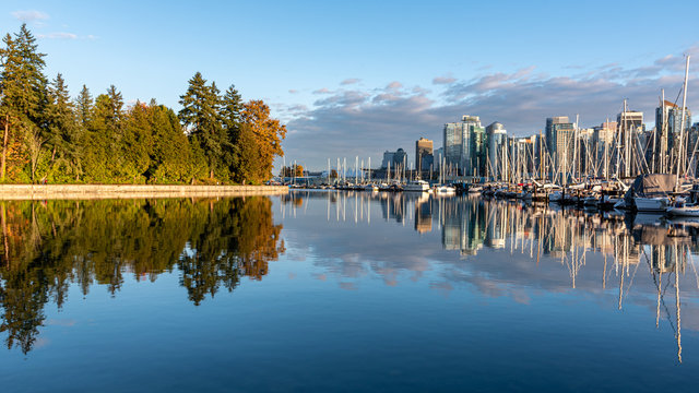 Vancover cityscape from the seawall